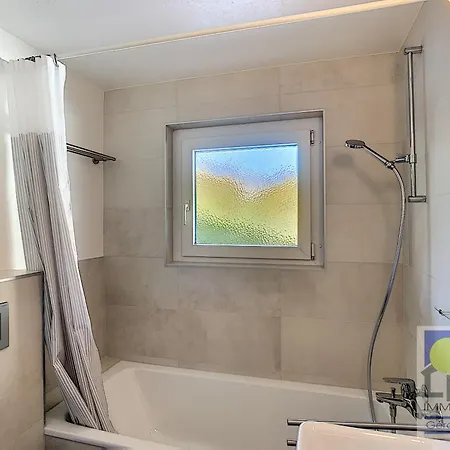 Neigeos לייסין